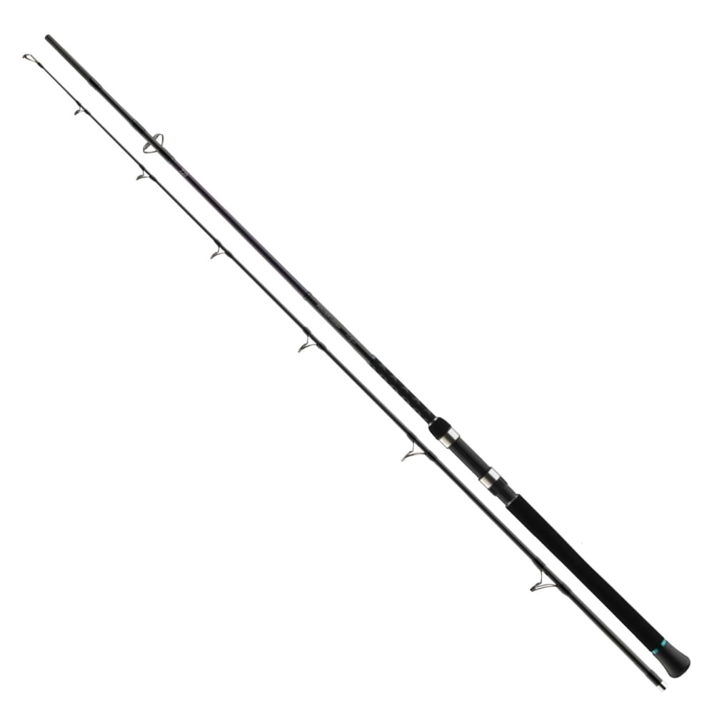 Daiwa Powermesh Catfish 245 cm 190g