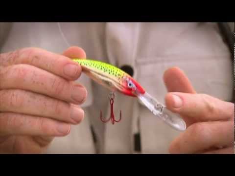 Rapala Deep Tail Dancer 11 cm (4,3") 22 g Red Head 