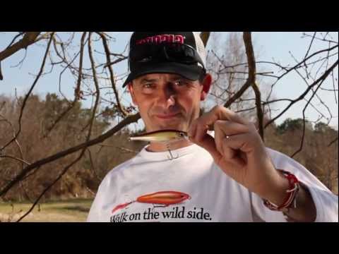 Rapala BX Minnow 10 cm (4") 12 g Argento