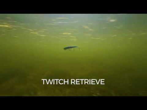 Rapala X-Rap Long Cast Shall 14 cm (5,5") 53 g Ghost