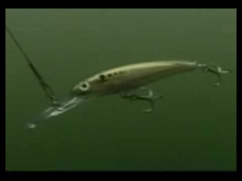 Rapala X-Rap Magnum 12 cm (4,7") 32 g UV Wahoo