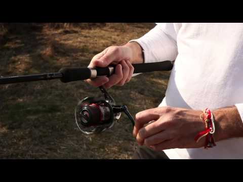 Rapala BX Nuotatore 12 cm (4.7") 22 g Tigre di fuoco