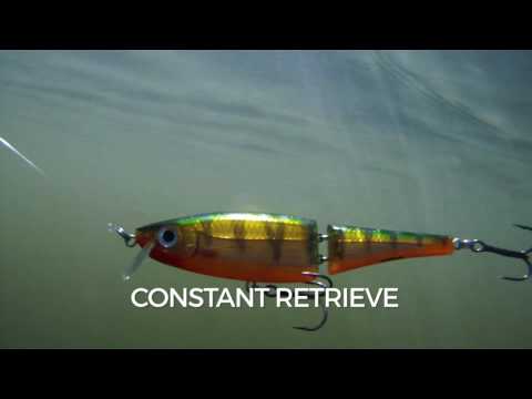Rapala BX Nuotatore 12 cm (4.7") 22 g Tigre di fuoco