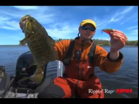 Rapala Rippin' Rap 7 cm (2,7") 24 g Helsinki Shad