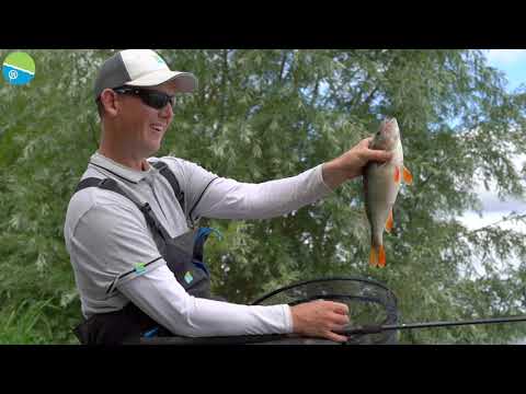 Epuisette Preston Free Flow 20