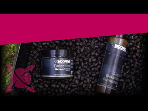 CC Moore Belachan Session Pack - Pellets+Wafters+Liquid+Bucket