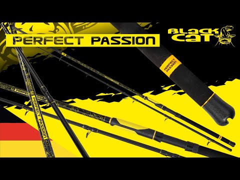 Black Cat Perfect Passion Spin 270cm 60-200g