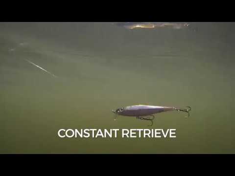 Rapala BX Minnow 10 cm (4") 12 g Argento