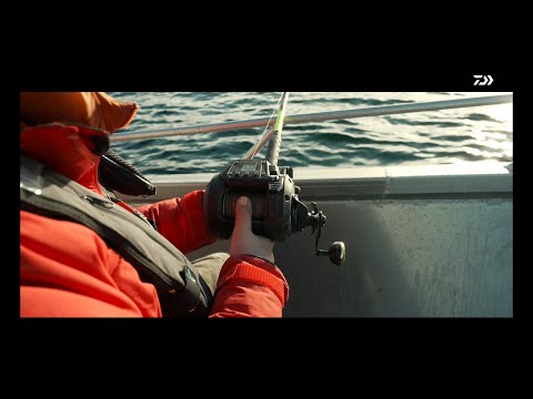 Daiwa Tanacom 800