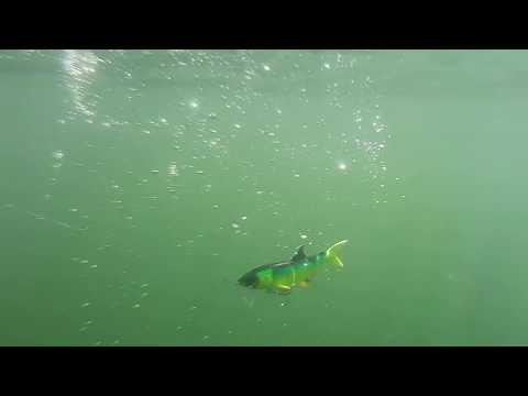 Ren kyOne 25 cm (10") 180 g slow sinking Atomic Char 1 piece