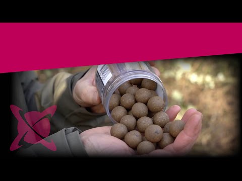 CC Moore Odyssey XXX Hard Hookbaits 18 mm