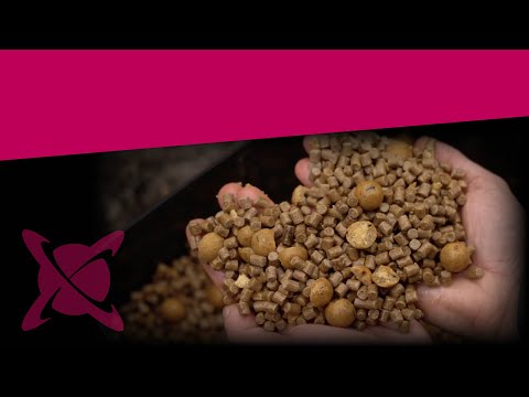 CC Moore Live System Session Pack 15 mm - Boilies+Pellets+Pop Ups+Booster+Găleată