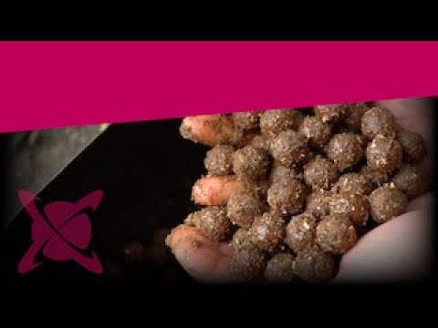 CC Moore Ton Pacific Bait Pudră de stimulare 50 g