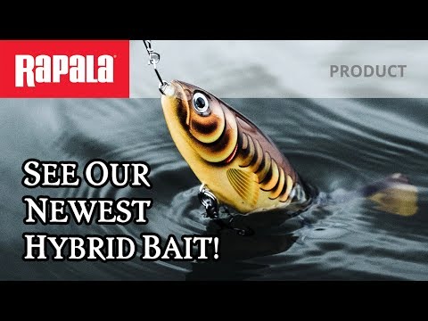Rapala X-Rap Peto 20 cm Roach