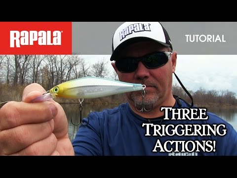 RA5818147 Rapala Shadow Rap Shad Deep 9 cm 12g Fire Tiger