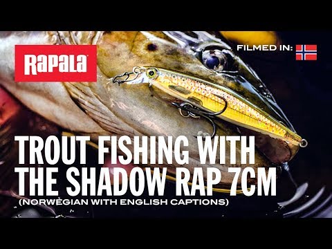 Rapala Shadow Rap 11 cm (4.3") 13 g Firetiger
