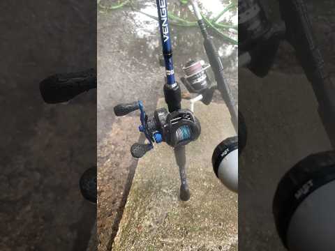 Shimano 25 Surf Leader 35 SD Shimano 25 Surf Leader 35 SD
