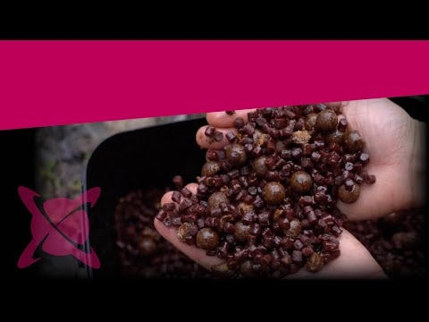 CC Moore Pacific Tuna Session Pack 18 mm - Boilies+Pellets+Pop Ups+Booster+Găleată