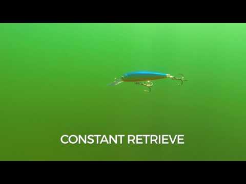 Rapala Down Deep Husky Jerk 10 cm (4") 11 g Tête Rouge